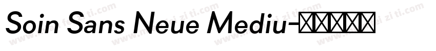 Soin Sans Neue Mediu字体转换